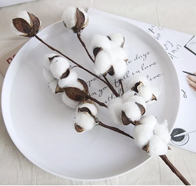 インテリア ドライフラワー コットンフラワー En Select