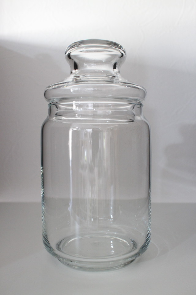 ポップジャー Lサイズ テラリウム容器 Feel The Garden