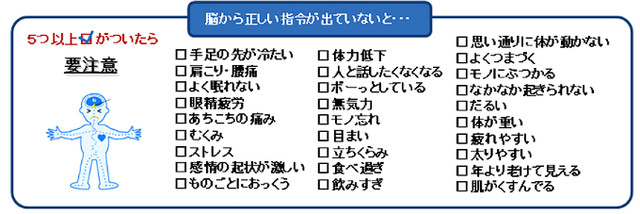 未来の青汁 ウルトラパニウツ元気 大 送料無料 すみれ一番天