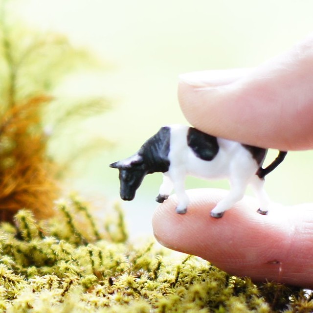 50 ミニチュア 動物 フィギュア 最高の動物画像