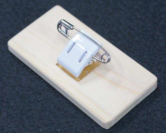 期間限定特別価格 クリップネームプレート 大 Kbshop