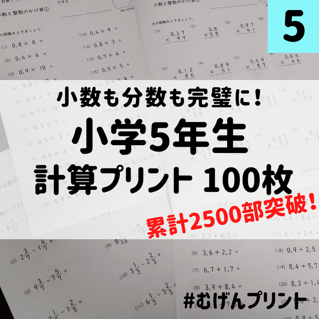 新発売 小学5年計算ドリルプリント100枚 むげんプリント