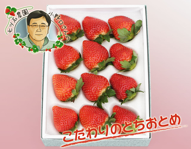 七ツ石いちご 小野口農園とちおとめ 約400g〔送料無料、とちおとめ、いちご、苺、七ツ石、小野口農園、詰め合わせ、贈答用〕