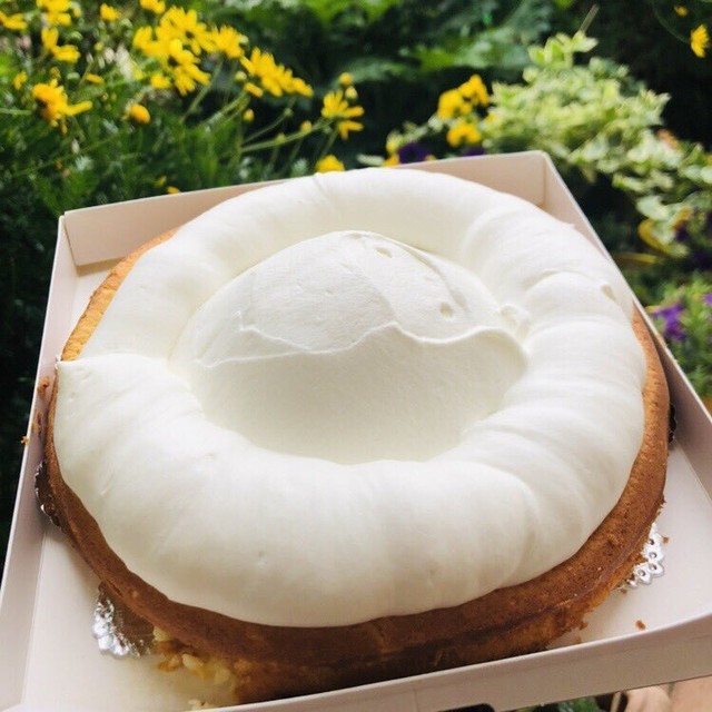 冷凍便 幸せアリスのダブルチーズケーキ 18cmホール 6号サイズ お誕生日や記念日のケーキに プディングアリス本店