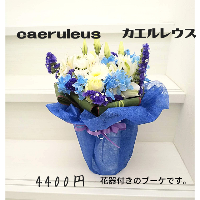 花だより 札幌市北区のお花屋さん