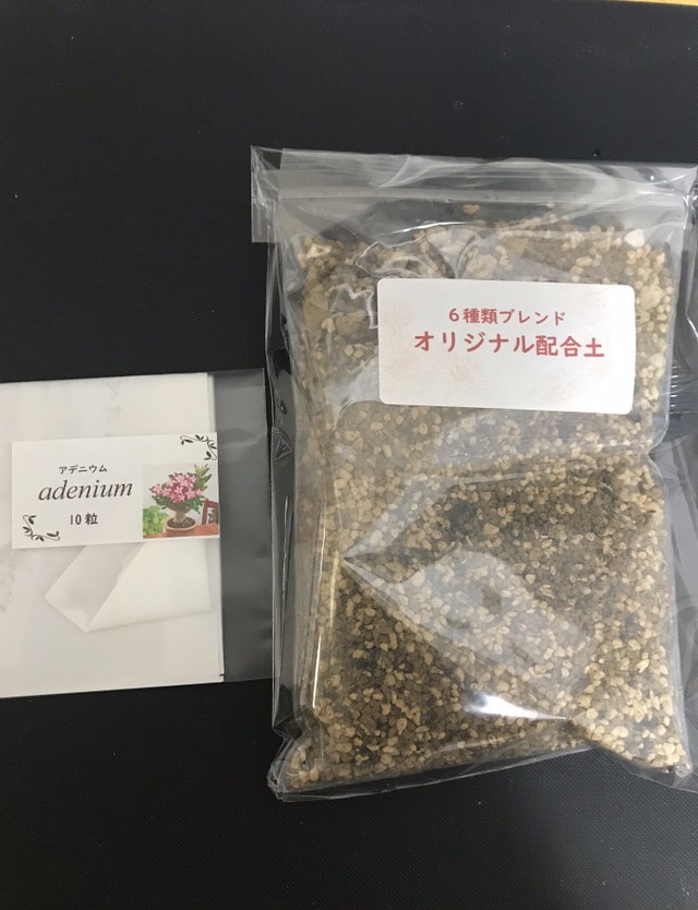 1400円 砂漠の薔薇 アデニウム オベスム の種10粒と土2杯セット多肉植物 三輪めだか