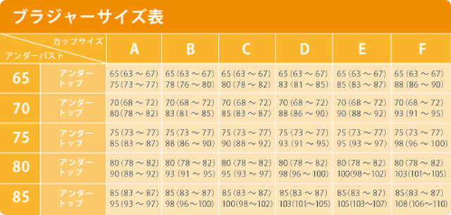 A65のブラジャー 小さい胸の方安心して はめられる 中学生の方 学校から下校してはめられる 学校ではめてもいいんです 何処にも販売していない ａ６５が販売可能 学校から下校し 普段着に着替えて使用装着可能 ａｋｂ４８の皆さんも A65 サテンアンダー