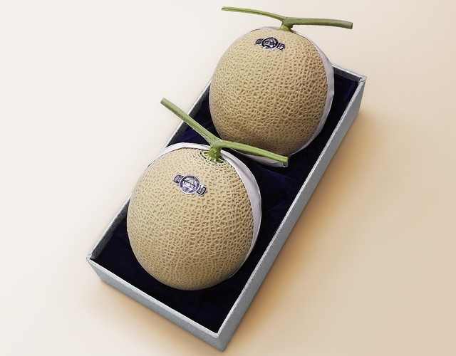 静岡産 アローママスクメロン【2玉計約2.8kg】 〔送料無料 メロン 贈答用〕