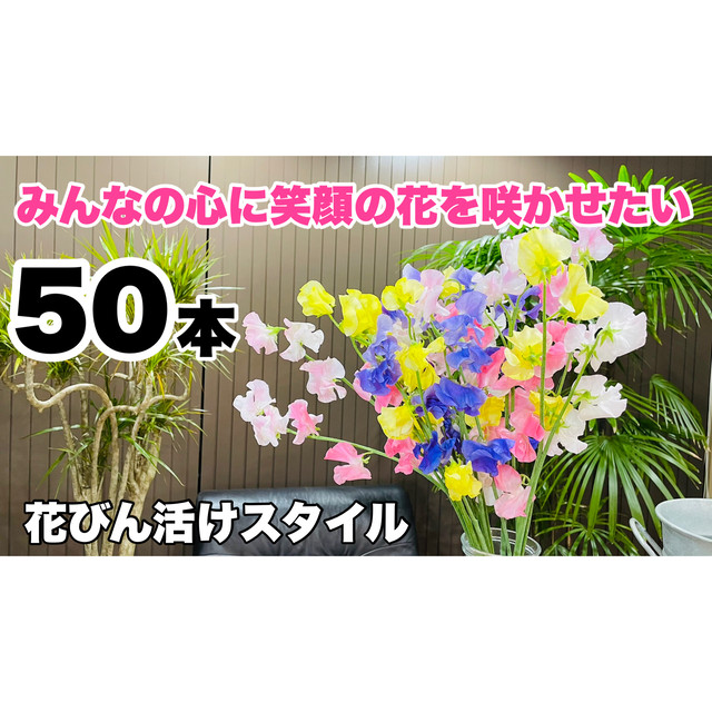 幸福の花 スィートピー 50本 いわい生花 Base店