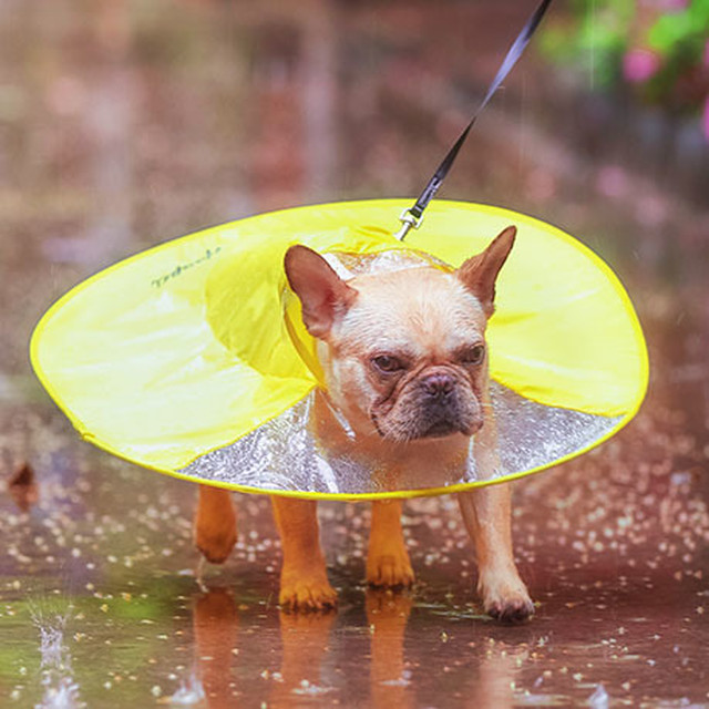 ペット レインコート Sサイズ 小型犬 中型犬 レインウエア 雨具 ポンチョ お散歩 かわいい Petitokyo