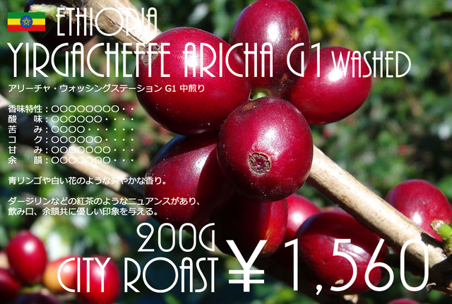 エチオピア イルガチェフェ アリーチャ・ウォッシングステーション G1 Washed - City Roast - (200g)