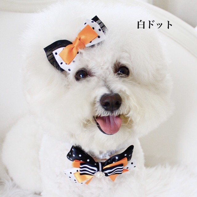 再入荷 犬用 ハロウィンリボンバレッタ Happy Bridge