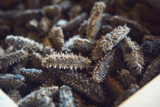 1 まとめ 販売 北海道 岩宇 なまこ 高級 干なまこ 9ｇ 15ｇ 北海道 地域商社 キットブルー