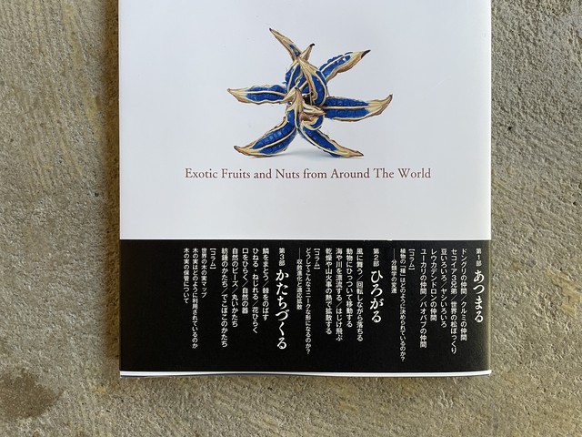 世界のふしぎな木の実図鑑 Standard Bookstore