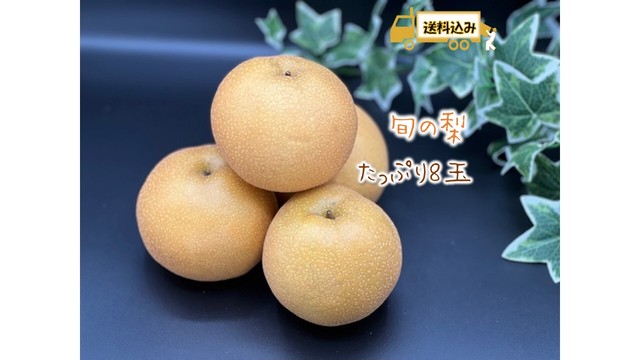 【期間限定】豊水梨 8玉