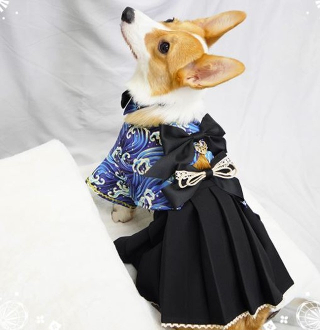 犬コスチューム3色 袴 スカート 和服 和ロリ 小型犬 着物 かわいい リボン ロリータ Lolita ワンちゃん イヌ ペット用 和風 無地 大きいサイズ サイズ豊富 おでかけ イベント パーティ ゴスロリ ロリータファッション Loli3791 Luxury