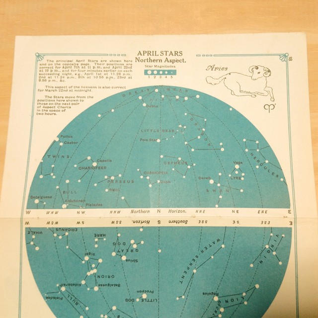 十二支星座 天体図版 3月 北半球 うお座 南半球 おひつじ座 イギリス アンティーク 星座図 天体観測 リトグラフ Backlane