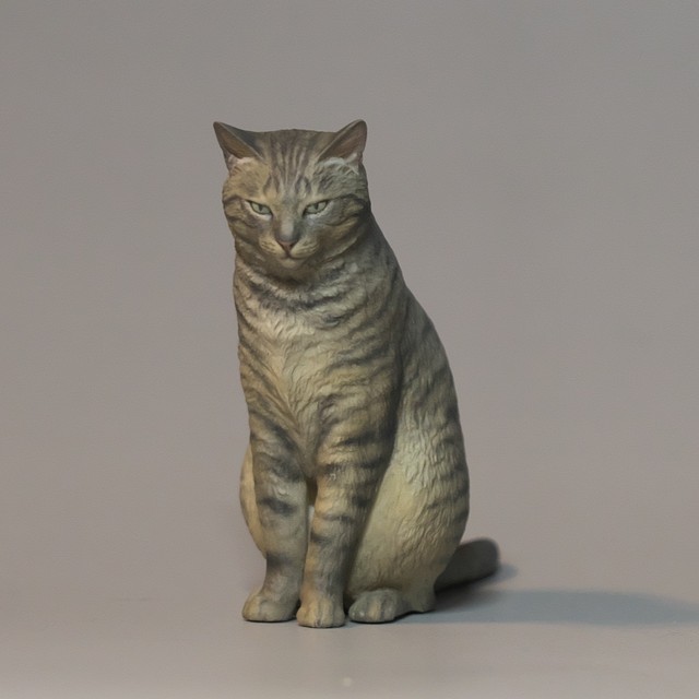 猫その21 キジトラb 森口修の猫