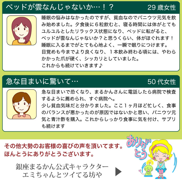 未来の青汁 ウルトラパニウツ元気 約250粒入 核酸 リボ核酸 葉酸 青汁 うつ病 パニック障害 漢方 斎藤一人 斎藤ひとり 銀座まるかん まるかん 正規販売店 送料無料 Rose Ai