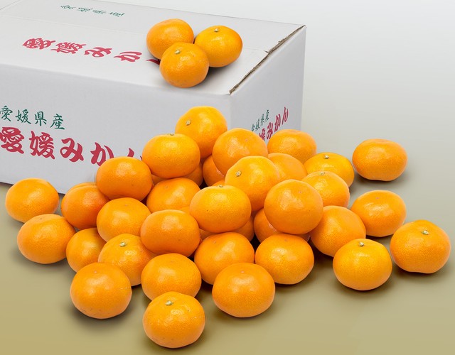 愛媛県産みかん〔送料無料 みかん 詰め合わせ 贈答用 御歳暮〕
