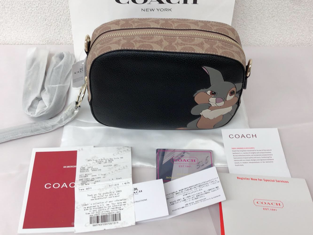 Coach カメラバッグ ディズニーコラボ With トンスケ M2link