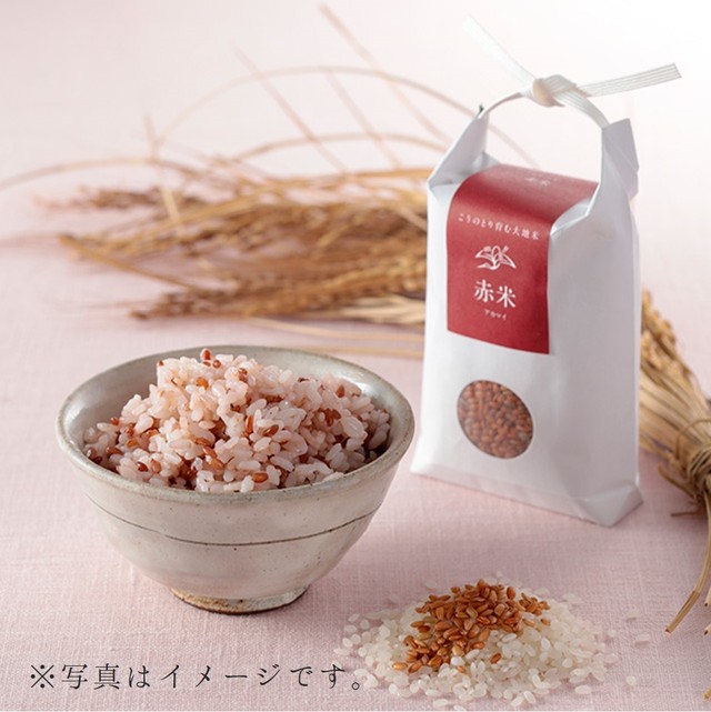 赤米 玄米 300g こうのとり育む大地米 結 Musubi