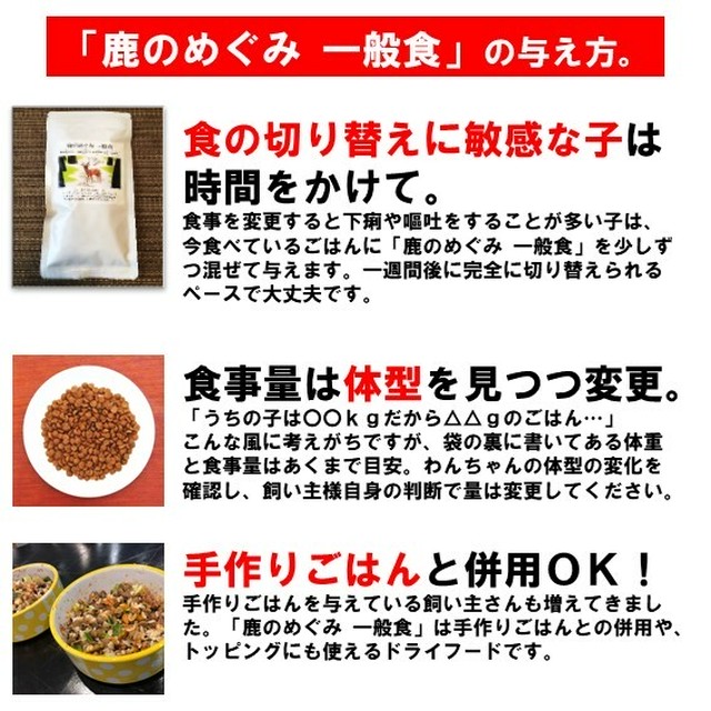 鹿のめぐみ 成犬用 一般食 100g Morikaraumie