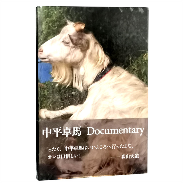 じゃない写真 現代アート化する写真表現 Pressman Books