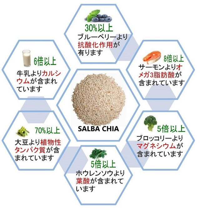 植物性最高級オメガ3 サルバチア オメガ3専門店 オメガパワー