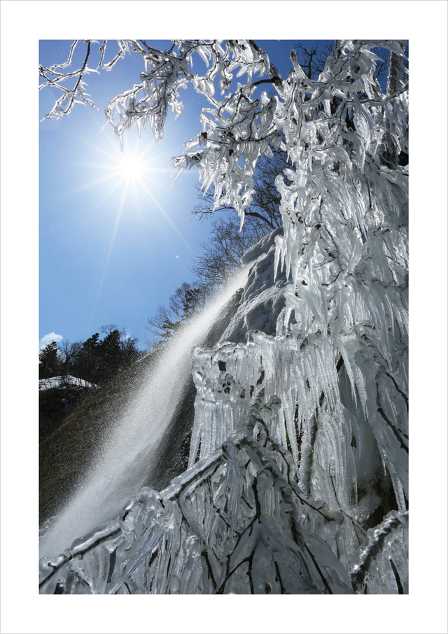 原始の大地 知床 風景 A5サイズ6枚セット 写真家 山本 純一