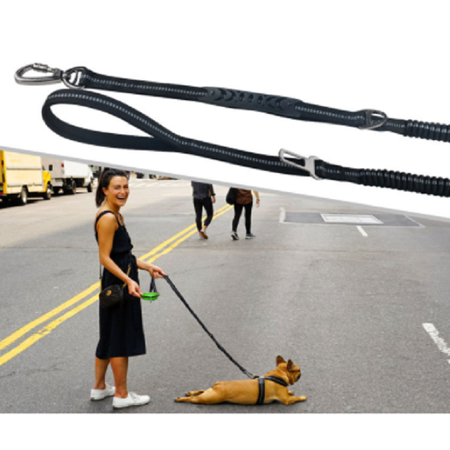 大型犬 リード 犬のリード ペット用リード 犬リード 伸縮 持ち手付き ペット用品 犬用品 中型犬 お散歩ロープ 操縦性 ワンちゃん用セレクトショップワンワンダフル