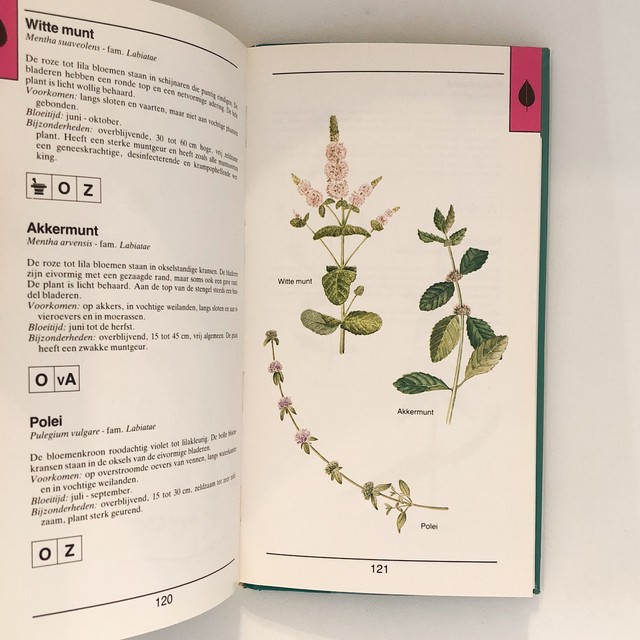 オランダのポケット図鑑 水辺の植物 Zakflora Voor Plas En Moeras Folklora