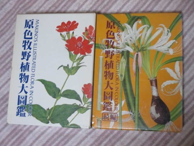 原色牧野植物大図鑑 原色牧野植物大図鑑 続編 の2冊 北隆館 大図鑑 は昭和61年刊 続編 は昭和60年刊 27 箱 ビニールカバーはありません 定価2冊で円 状態は 経年並みです 本体は まず7きれいな状態ですが 箱には使用感があり 縁の折れ