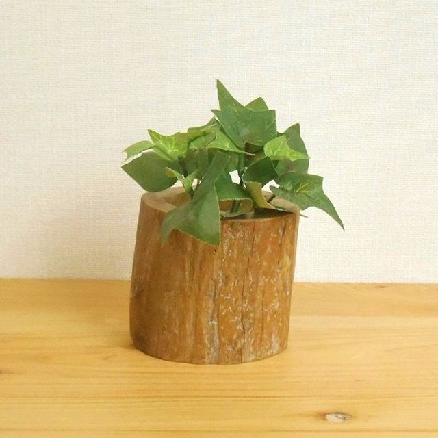 温泉流木 いろいろ使える丸太のミニ花器ハイドロカルチャー容器002太 流木インテリア コロボックル工房