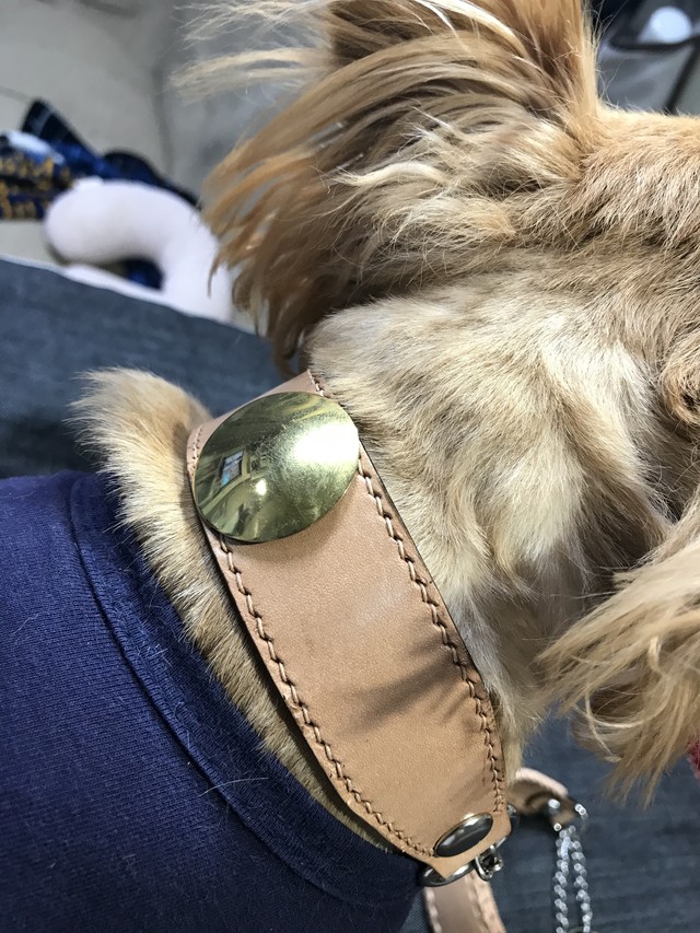 真鍮コンチョ本革ハーフチョーク小型犬用 Shine Handmade Leather
