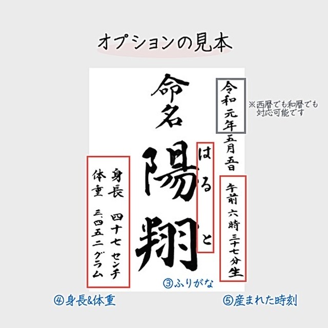 オーダーメイド命名書 選べる11種類 選べる項目 ご自分でカスタマイズ 多様な有料オプション 7 レモン プロの命名書道家による代筆 命名書 専門店