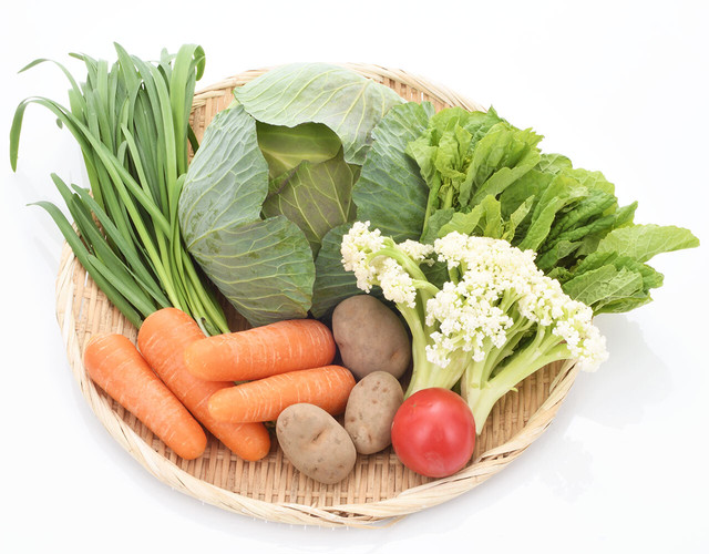 旬のお試し野菜セット〔送料無料、野菜セット、詰め合わせ、旬の野菜〕