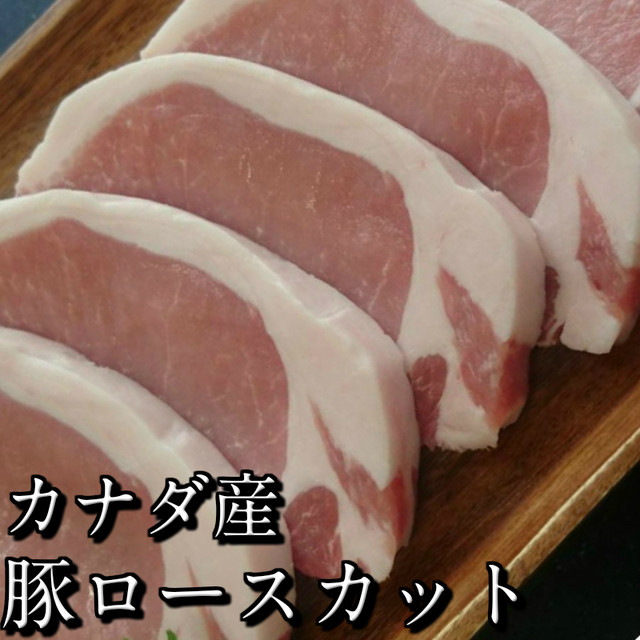 冷凍 カナダ産三元豚ロースカット １００ｇ ５枚 とんかつ ソテー用 ブランド豚 ケベックの恵 食品 肉 お試し 訳あり 卸 問屋 直送 業務用 ポークステーキ ａｂｃミート