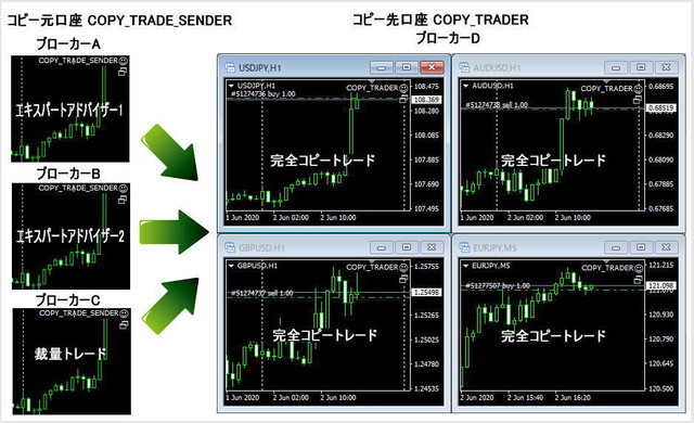 コピートレード Mt5 インターネット 送信セット Metatrader コピートレード ツール