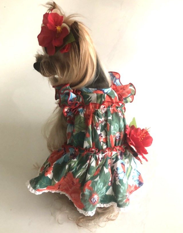 犬服オーダー ムームーワンピース Dogdress Ari Ra