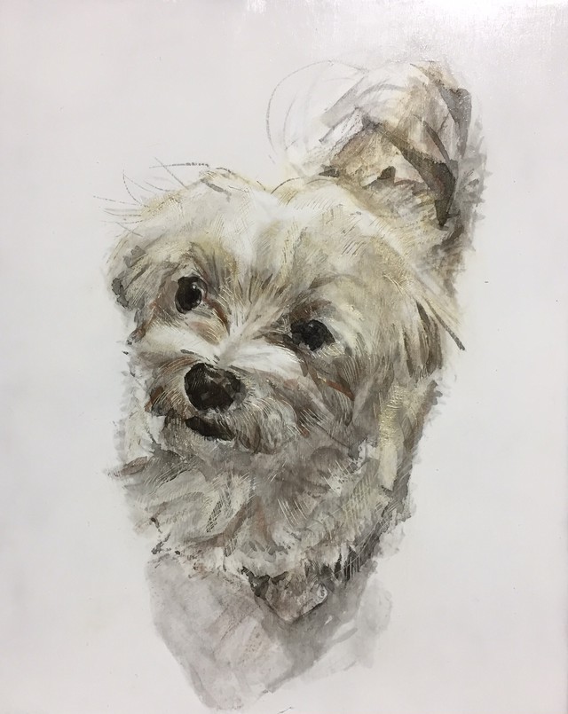 ペットを油絵で描きます 大切な思い出を油絵に残しませんか ギャラリー ラピス