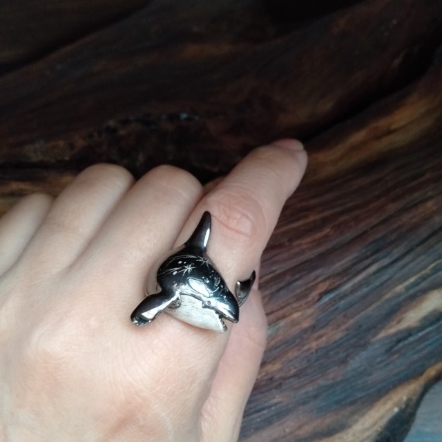 銀河シャチリング オス Flowstar