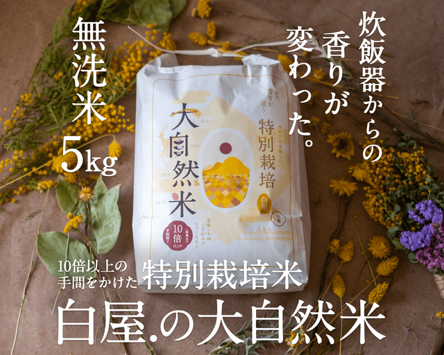 大自然米【5kg】無洗米