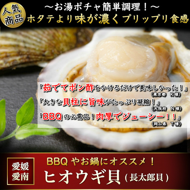 ホタテより濃厚 ヒオウギ貝 緋扇貝 10枚 長太郎貝 愛媛県産 送料無料 冷凍便 ギフト グルメ q 土佐カツオとうなぎの通販 高知の旬をお届けする 池澤鮮魚オンラインショップ