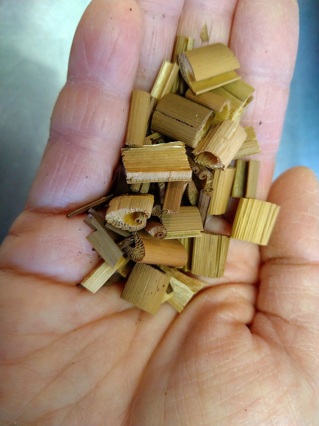 自然栽培 マコモ茶 ３p入り 笠間茶屋