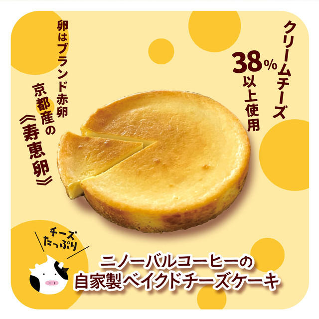 送料無料 おうちカフェ 2525セット チーズケーキ 選べるコーヒー豆 Ninoval Coffee ニノーバルコーヒー