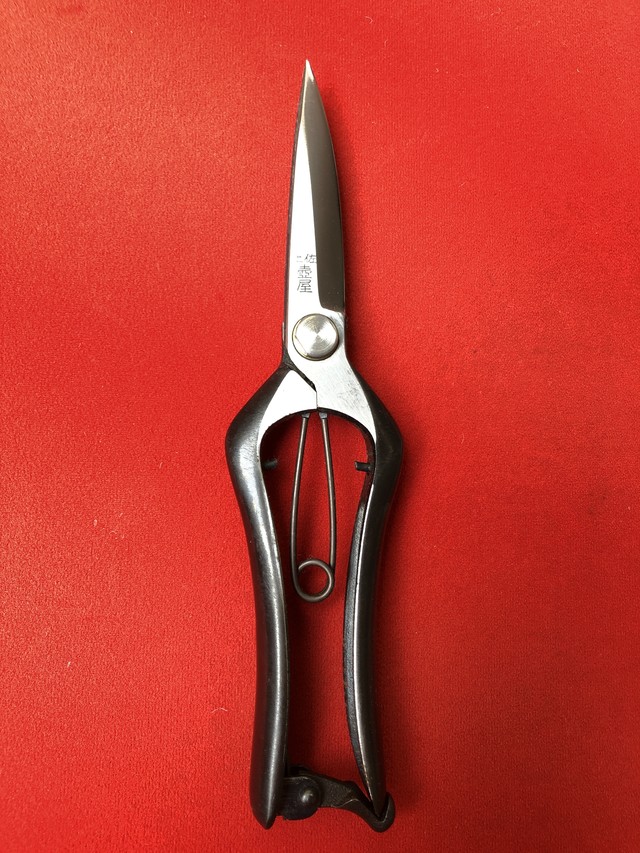 芽切り鋏 210 片刃 龍河洞の土佐打刃物 土佐壺屋 オンラインショップ