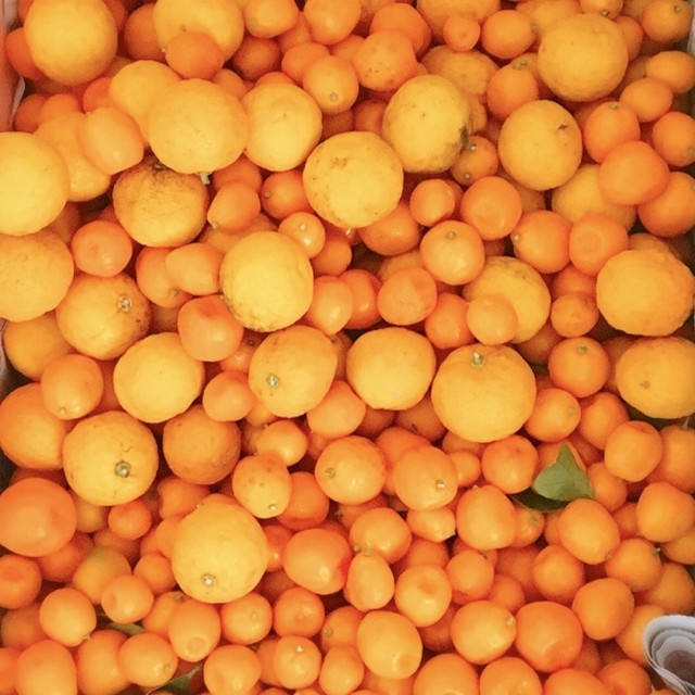 しずおか金柑の発酵シロップ 発酵ドライフルーツnatufull なちゅふる