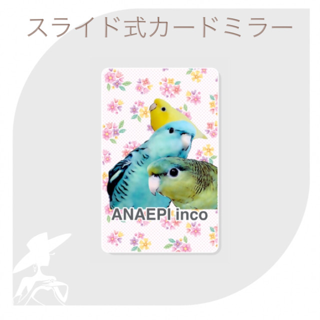 スライド式カードミラー サザナミインコ 鳥グッズ Anaepi Inco