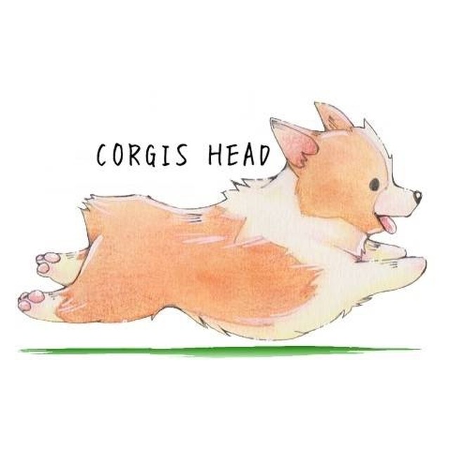 No 21 Welshcorgi 002 5 6oz Dj Kanonのコーギーイラスト第2弾 コーギーズ走るtシャツ Corgis Head Shop